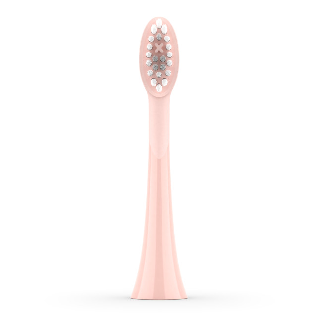 Ordo Sonic Brush Head, Pack of 2 - Rose Gold showing the product at an angle