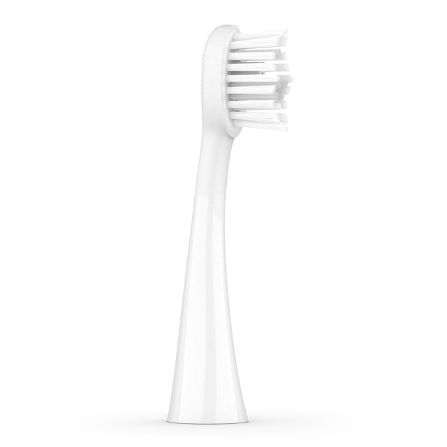 Ordo Sonic Brush Heads, Pack of 2 - White angle