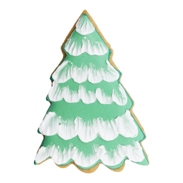 PME Christmas Delights Cookie Cutters, Set of 3 detail of the baked cookie