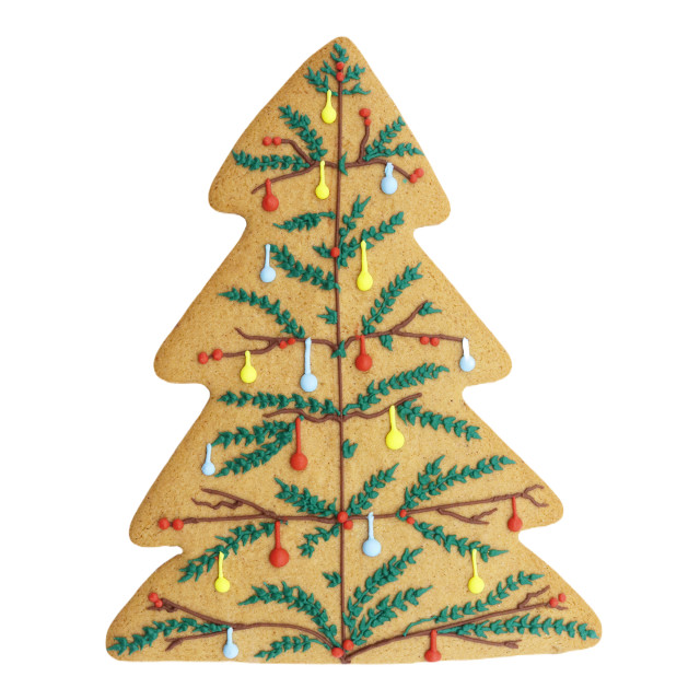 PME Giant Christmas Tree Cookie Cutter detail of the baked cookie