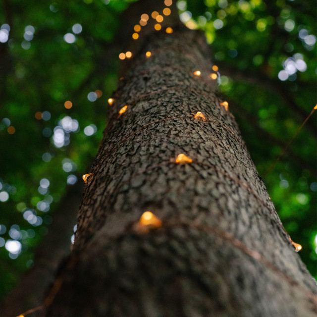 Litehouse Solar LED Copper Wire Fairy Lights, 20m detail