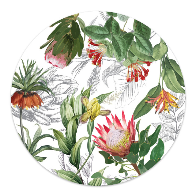 Simply Placemats Protea Paper Place Mat, Pack of 24