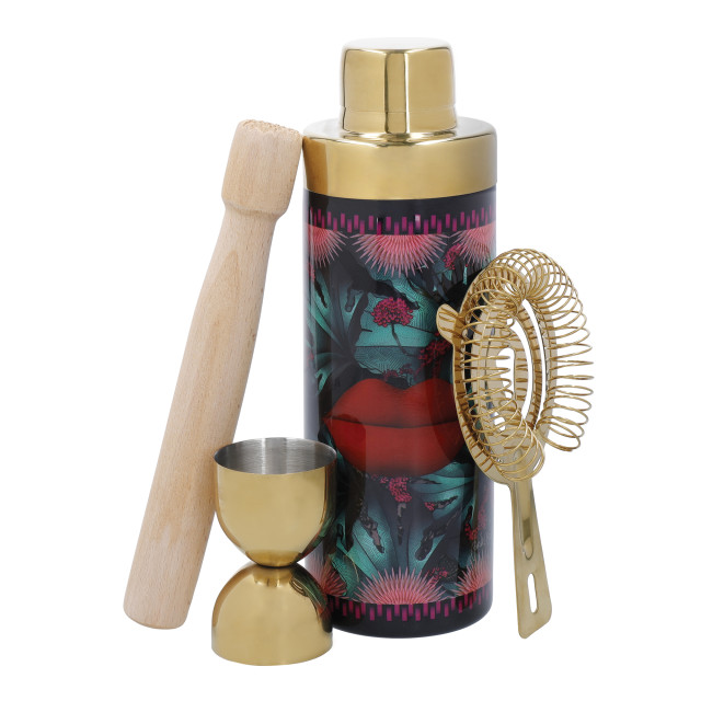 Mikasa Sarah Arnett Cocktail Shaker, Set of 4