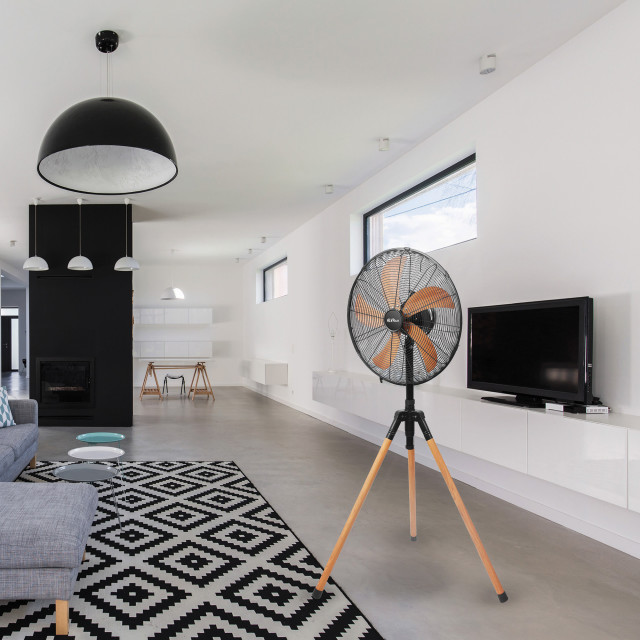 Alva Air Tripod Fan with Wood Finish, 40cm in the living room