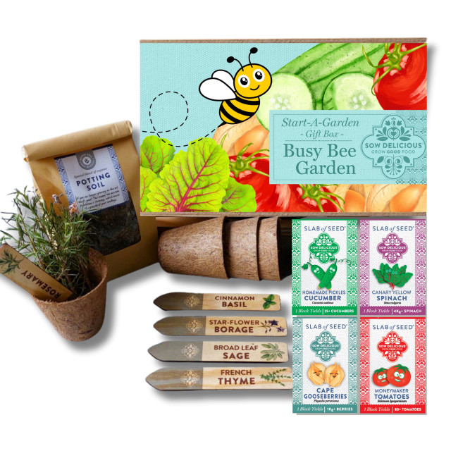 Sow Delicious Start-A-Garden Busy Bee Gift Box