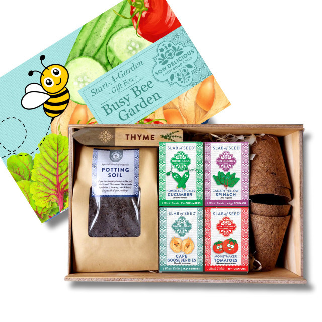 Sow Delicious Start-A-Garden Busy Bee Gift Box angle