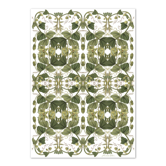 Hendrik Willem Jasmine Creaper Wrapping Paper, Set of 4