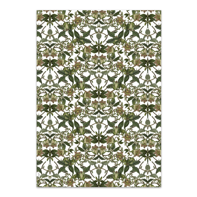 Hendrik Willem White Botanicals Wrapping Paper
