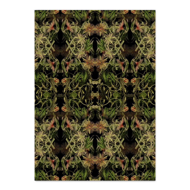 Hendrik Willem Black Botanicals Wrapping Paper, Set of 4