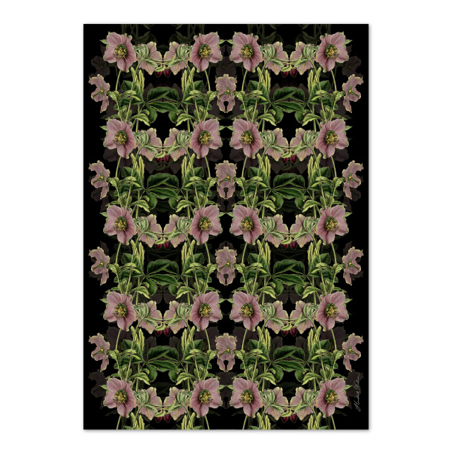 Hendrik Willem Magnolia Wrapping Paper, Set of 4
