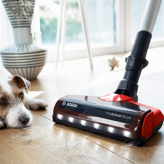Bosch ProAnimal Rechargeable Cordless Vacuum Cleaner vacuuming pet hair