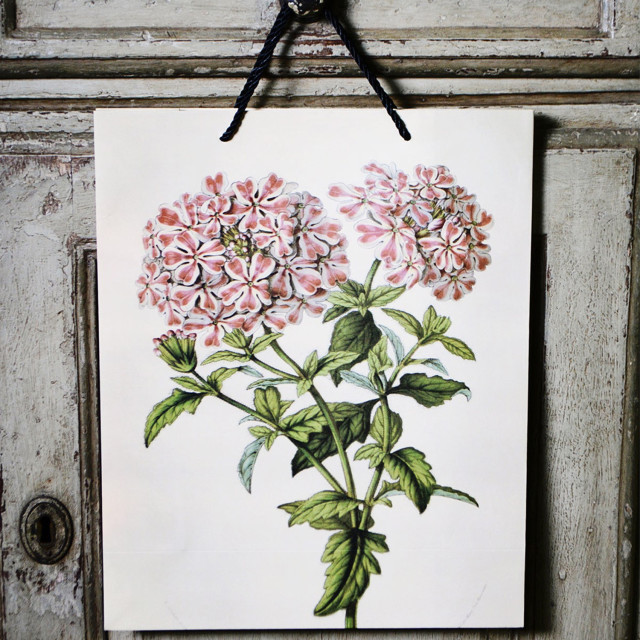 Hendrik Willem Botanical A3 Gift Bags, Set of 3 hung on a door knob