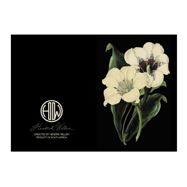 Hendrik Willem Black Collection Cards, Set of 10 detail
