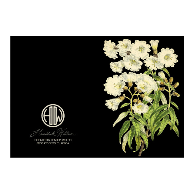 Hendrik Willem Black Collection Cards, Set of 10 detail