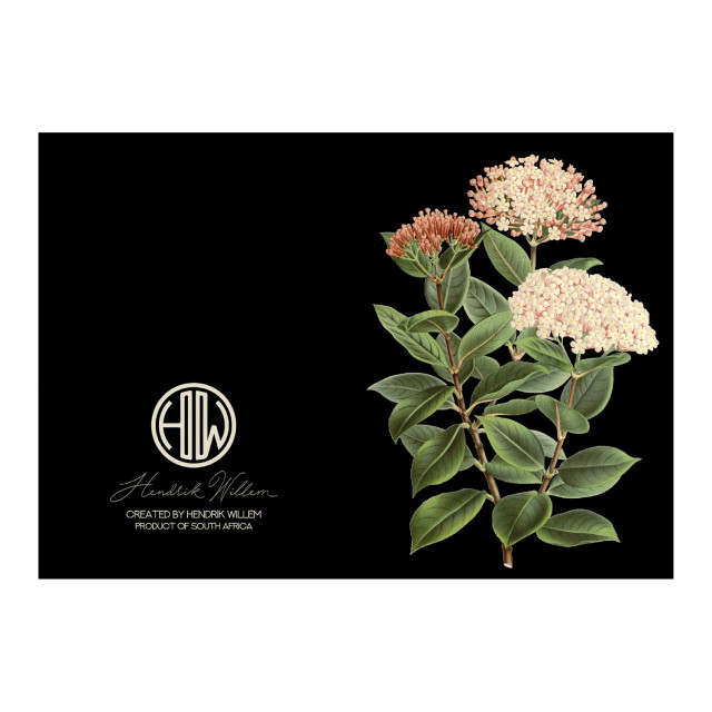 Hendrik Willem Black Collection Cards, Set of 10 detail
