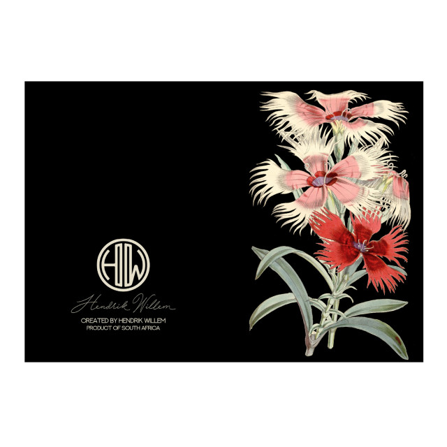 Hendrik Willem Black Collection Cards, Set of 10 detail
