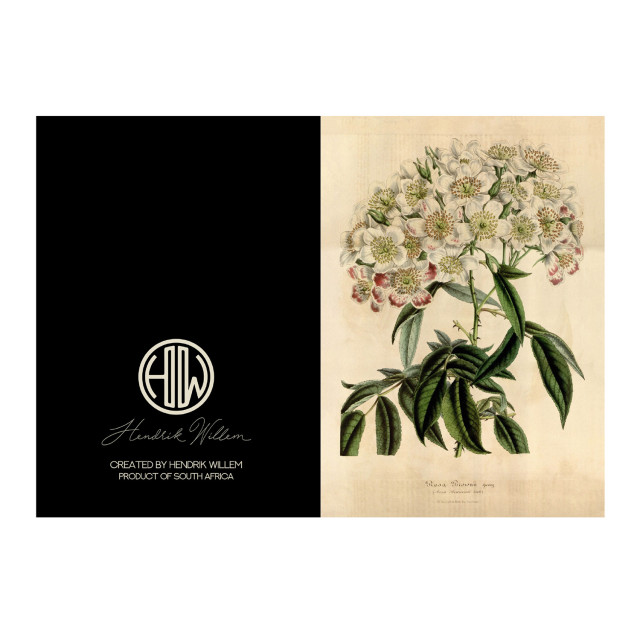 Hendrik Willem Natural Collection Cards, Set of 10 detail