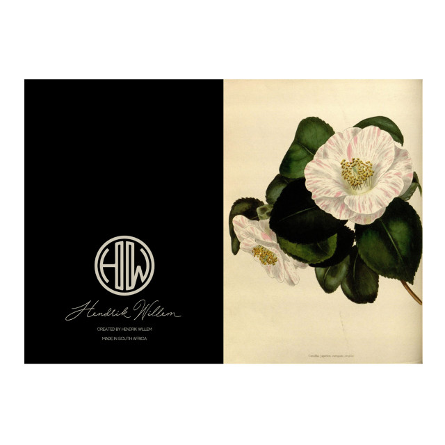 Hendrik Willem Natural Collection Cards, Set of 10 detail