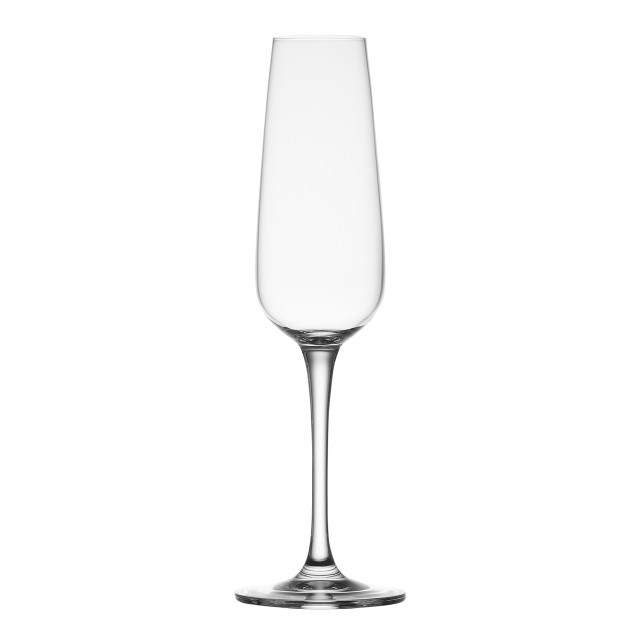 Salisbury & Co Signature Lead-Free Crystal Champagne Flute Glasses, Set of 6