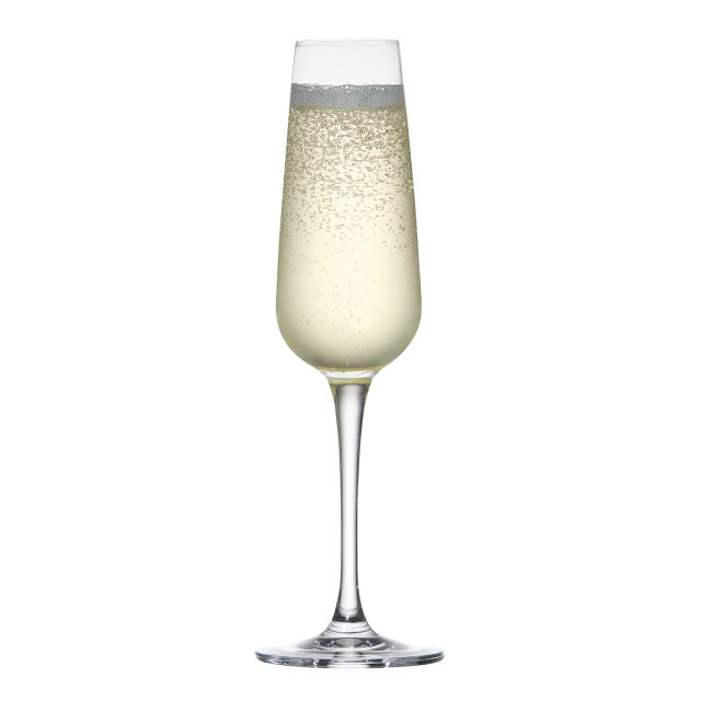 Salisbury & Co Signature Lead-Free Crystal Champagne Flute Glasses, Set of 6 angle