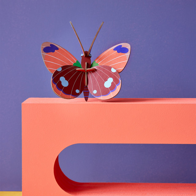 Studio ROOF Delias Butterfly Wall Decor  on a shelf