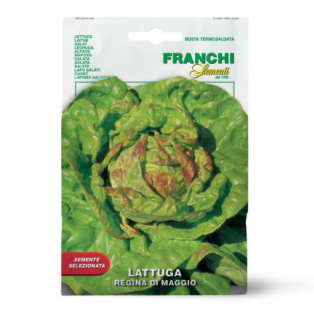 Franchi Sementi Seeds Regina Di Maggio Butter Lettuce, 6g