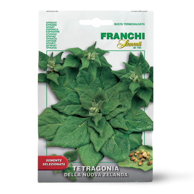 Franchi Sementi Seeds New Zealand Spinach Seeds, 4g