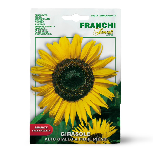 Franchi Sementi Seeds Alto Giallo Sunflower Seeds, 3g
