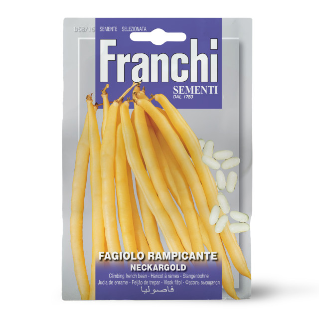 Franchi Sementi Seeds Neckargold Bean Seeds, 30g