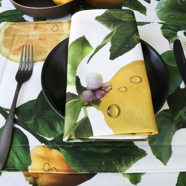 DSA Polyteq Lemon Placemats, Set of 6 on the table with a plate