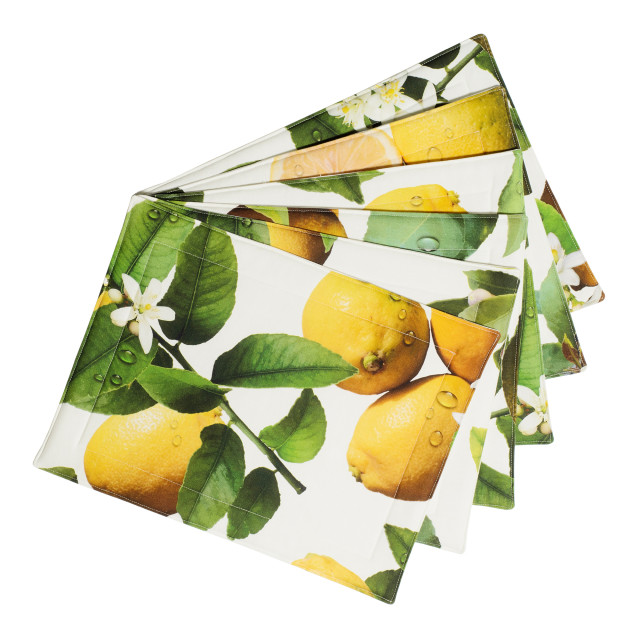 DSA Polyteq Lemon Placemats, Set of 6