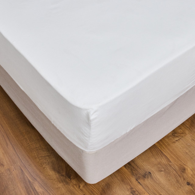 Thread Office White Brushed Cotton Fitted Sheet - King