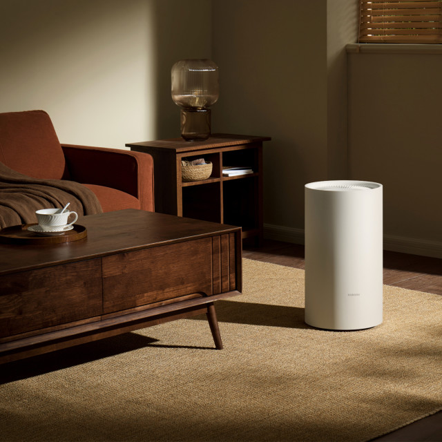 Xiaomi Smart Dehumidifier Lite in the living room