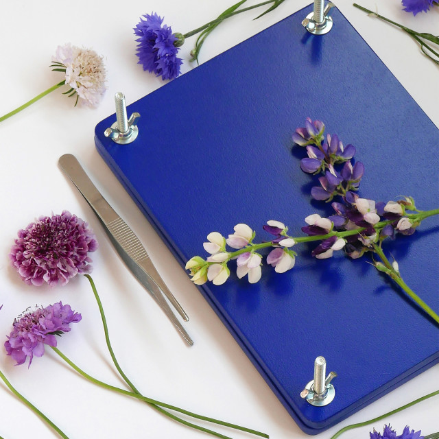 Printworks Flower Press Kit detail with flowers