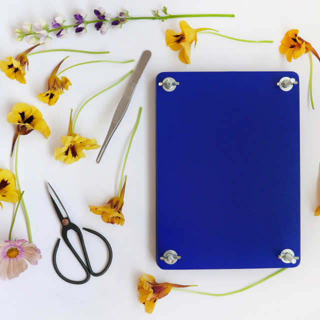 Printworks Flower Press Kit detail with flowers