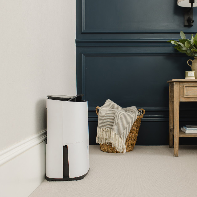 Meaco Dry Arete Two Dehumidifier & Air Purifier, 12L in the living room