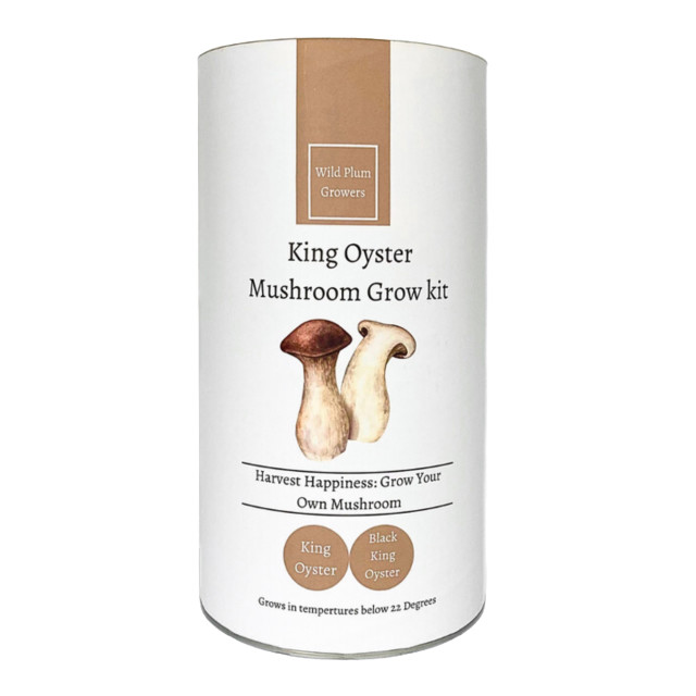 Wild Plum Growers Black King Oyster Mushroom Grow Kit