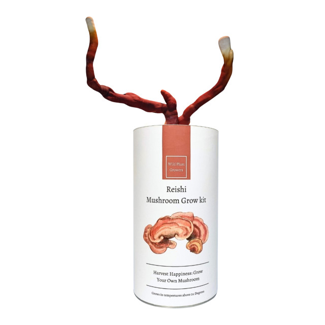 Wild Plum Growers Reishi Mushroom Grow Kit detail