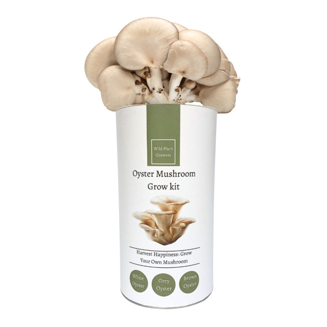 Wild Plum Growers Grey Oyster Mushroom Grow Kit detail