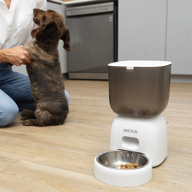 Bneta Automatic Pet Feeder on laminated flooring