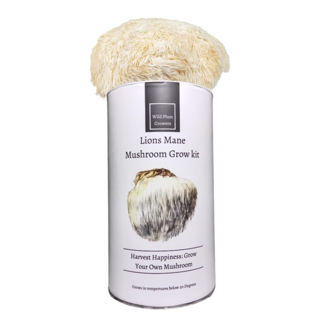 Wild Plum Growers Lions Mane Mushroom Grow Kit detail