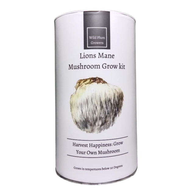 Wild Plum Growers Lions Mane Mushroom Grow Kit