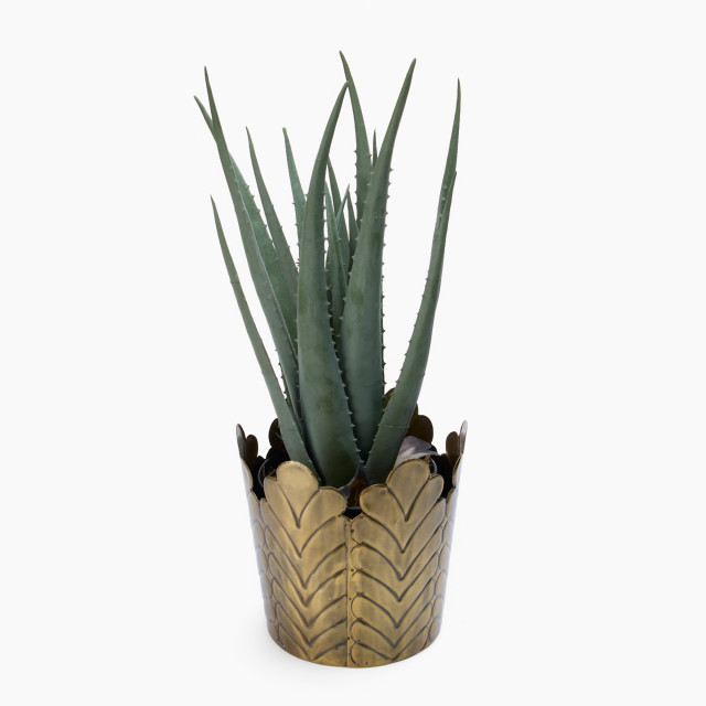 Thread Office Gold Crown Planter, 17cm