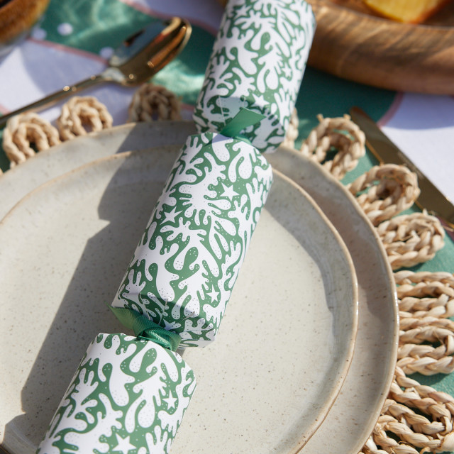 Holly & Ivy Boutique Exclusive Green Coral Crackers, Pack of 6