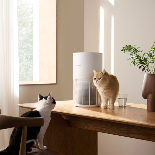 Xiaomi Smart Pet Care Air Purifier on the table with cats