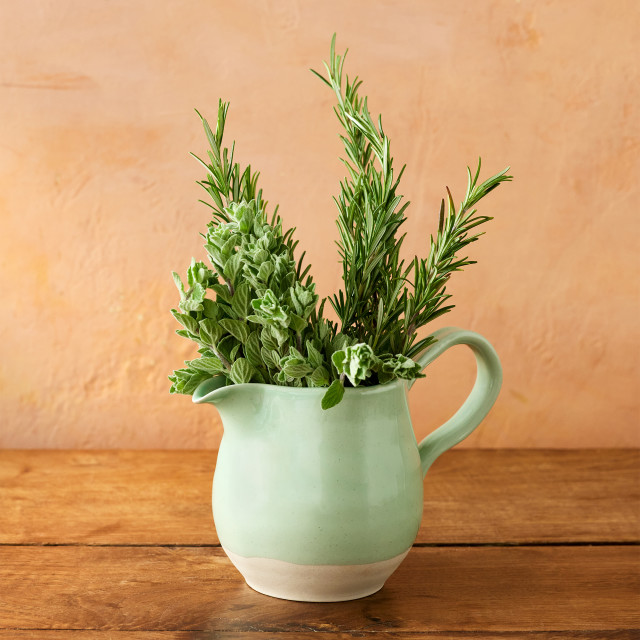 Jamie Oliver Big Love Stoneware Joy Jug, 650ml on the table with a plant