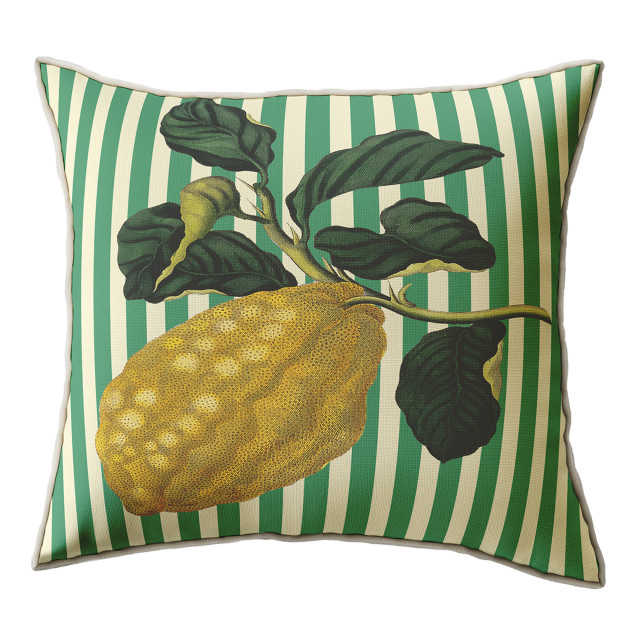 Cara Saven 4 Decor Striped Citron Printed Scatter Cushion with Feather Inner, 60cm x 60cm
