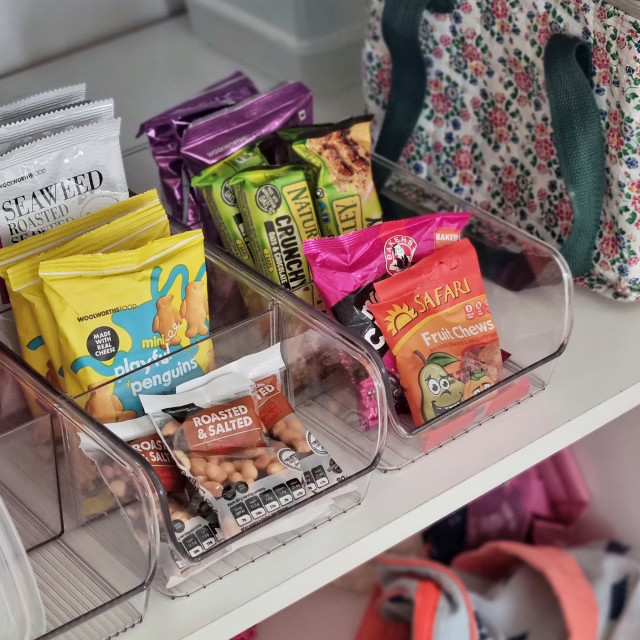 Trendz Of Today Open Storage Bin with Dividers - Small with snack packets
