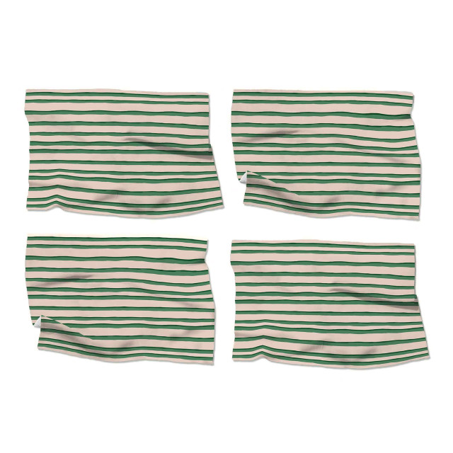 Cara Saven 4 Decor Mint Condition Placemats, Set of 4