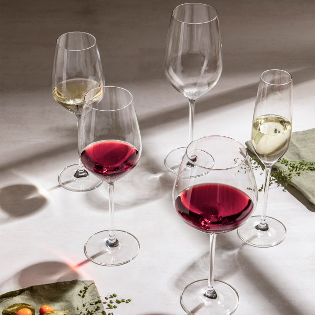 Schott Zwiesel Fortissimo Sparkling Wine Glasses, Set of 4 with other glasses